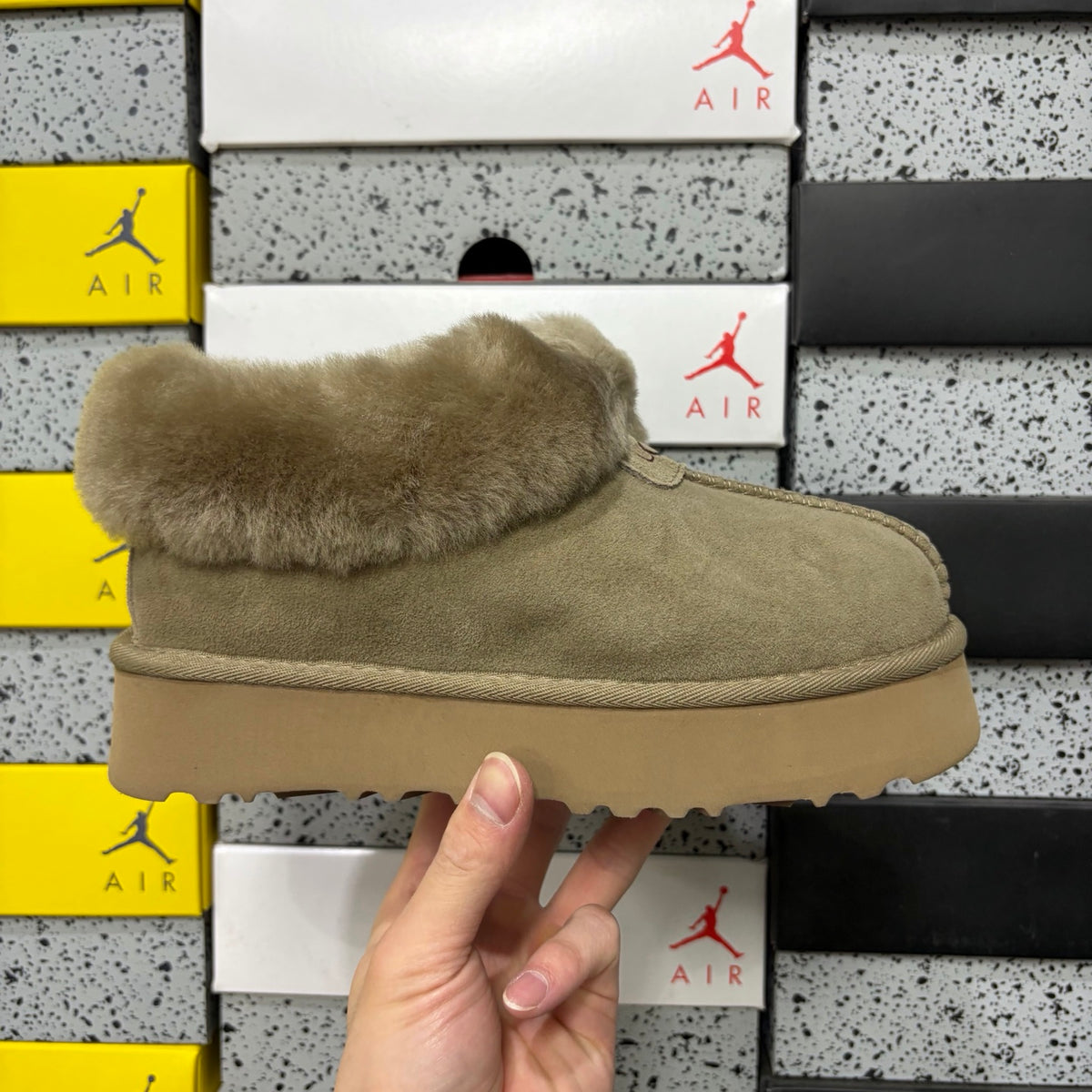 UGG Tasman Slipper 4810 – Antelope Brown | Sizes 35–44
