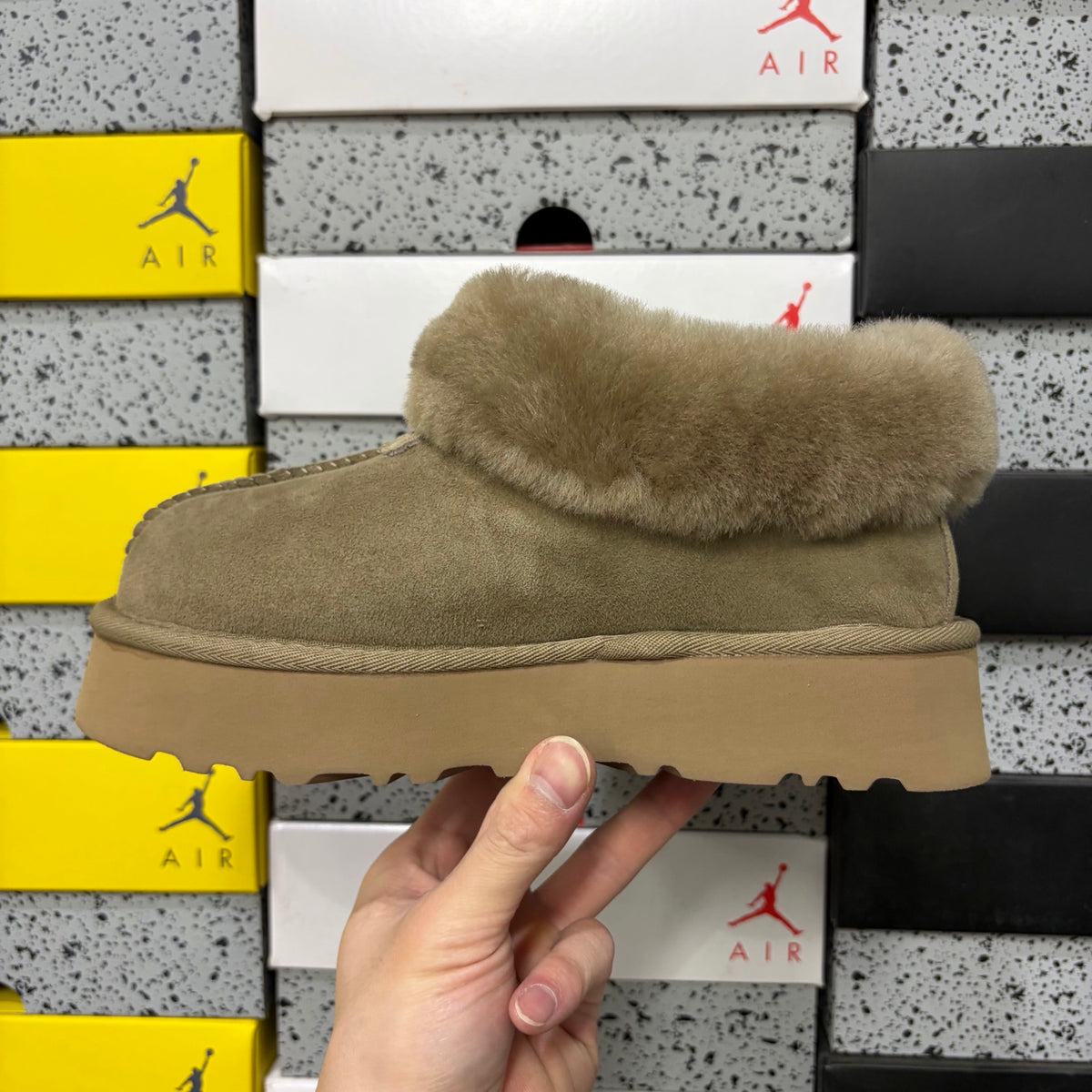 UGG Tasman Slipper 4810 – Antelope Brown | Sizes 35–44
